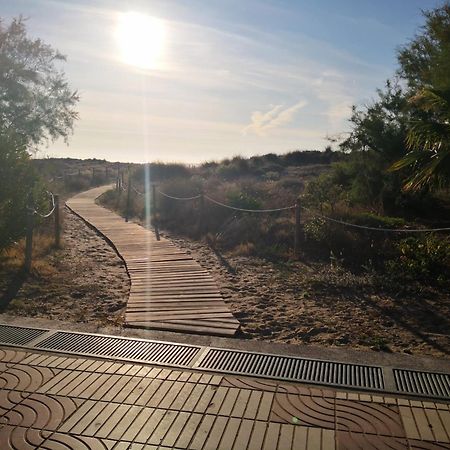 Sea View Apartment, First Line On The Beach, Remote Work Canet d'En Berenguer Eksteriør bilde